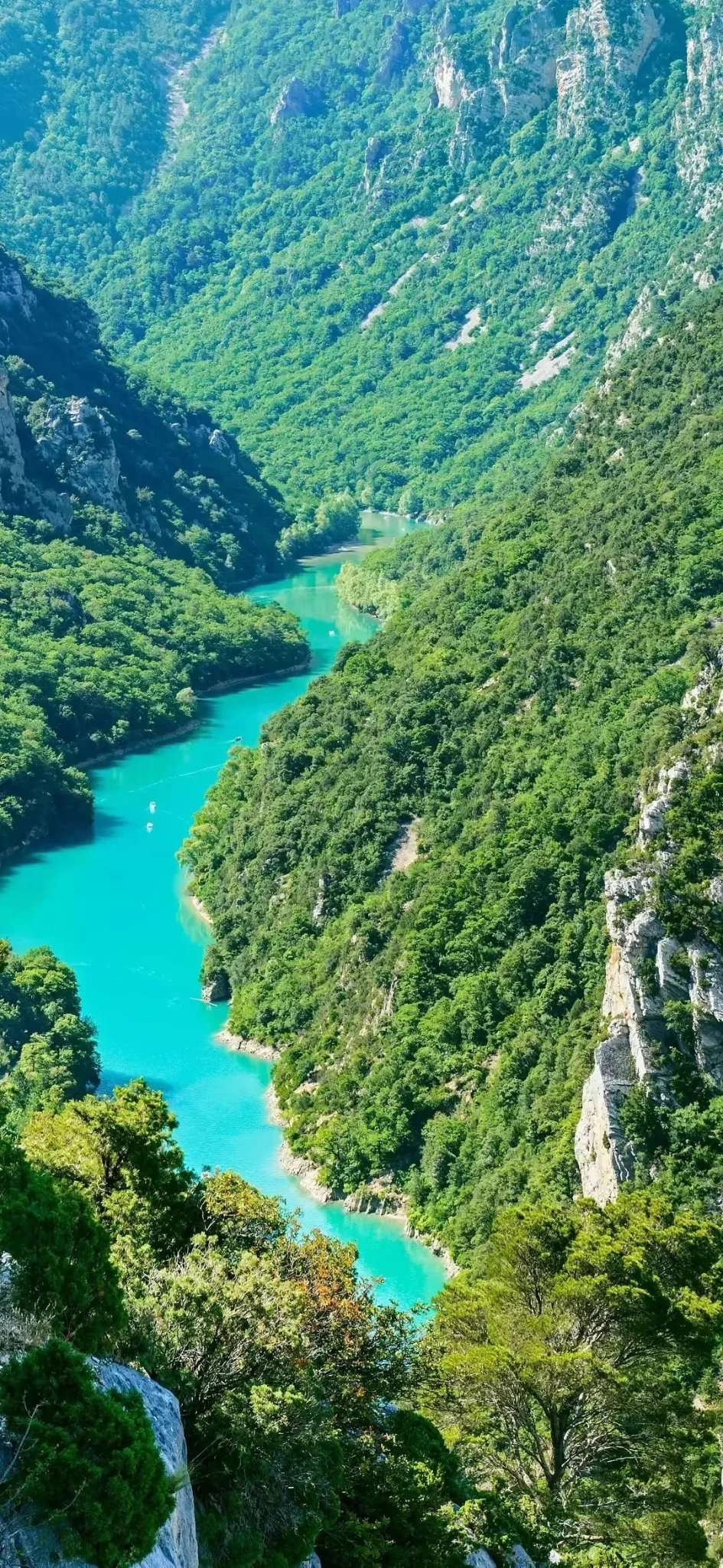 大智若愚风景图片