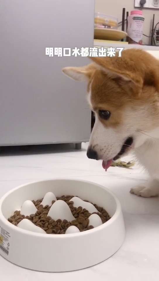 v2-0df2252308b2880120b51e762520c1cc_720w.jpg?source=1940ef5c