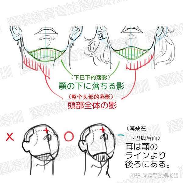 最新 胸 俯瞰