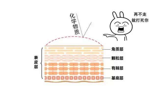 科黛肤 今天科黛肤来和大家聊聊"去角质"这件事