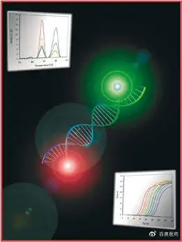 科普講堂實時熒光定量pcr檢測方法