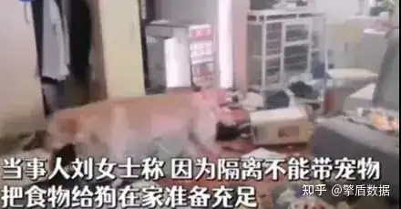 【秒知天下】寻致20人遇难！青海柴达尔矿难原因公布