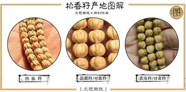 挑选百香籽(柏香籽)有哪些注意事项,如何辨别真伪?-第7张图片-阔酒网 挑选百香籽(柏香籽)有哪些注意事项,如何辨别真伪?-第7张图片-阔酒网