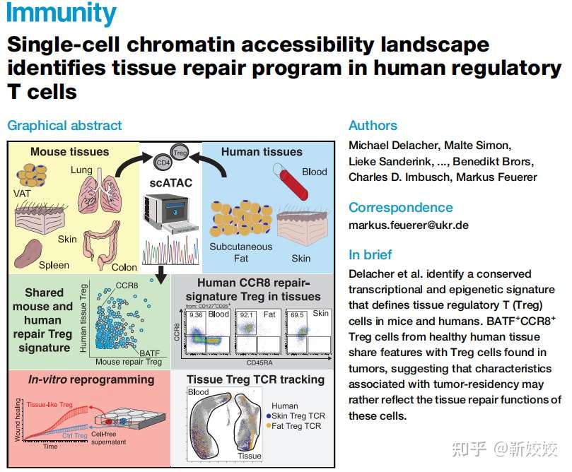 利用10x Genomics 单细胞染色质可及性分析识别人类调节性t细胞的组织修复程序 知乎