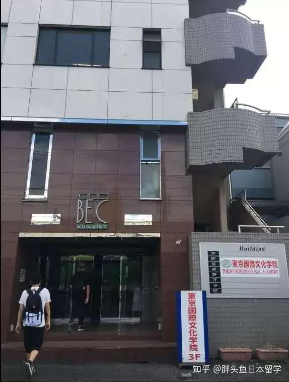 東京国際文化学院 学霸云集升学率高百分之百中国学生的语言学校 知乎
