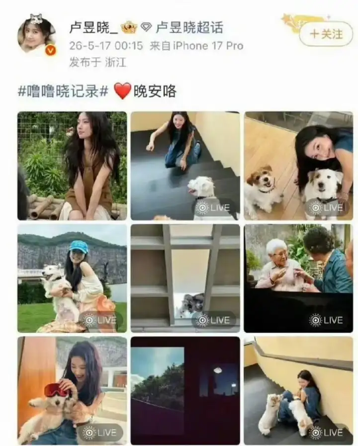如何看待卢昱晓屏摄《给阿嬷的情书》后道歉？为何明星频繁犯下屏摄、盗摄这类常识性错误？