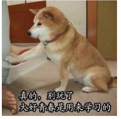 没有高数基础的人该如何学习高数 知乎