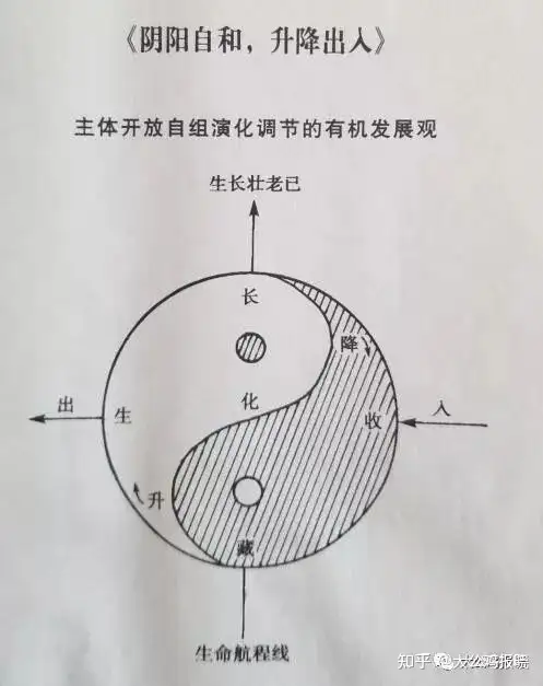 大公鸡报晓