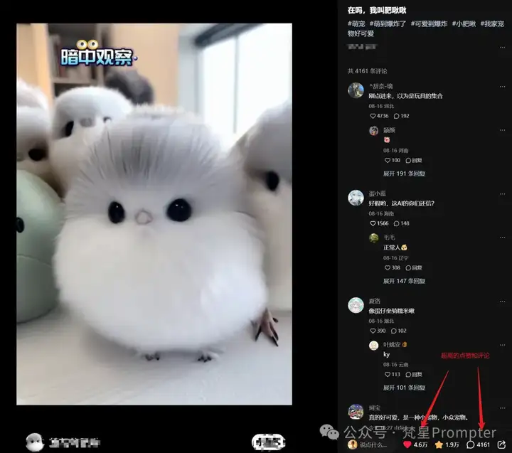 图片[2]-AI爆款拆解：超萌小肥啾，10个视频，2w粉丝，赶紧学起来！-就爱副业网