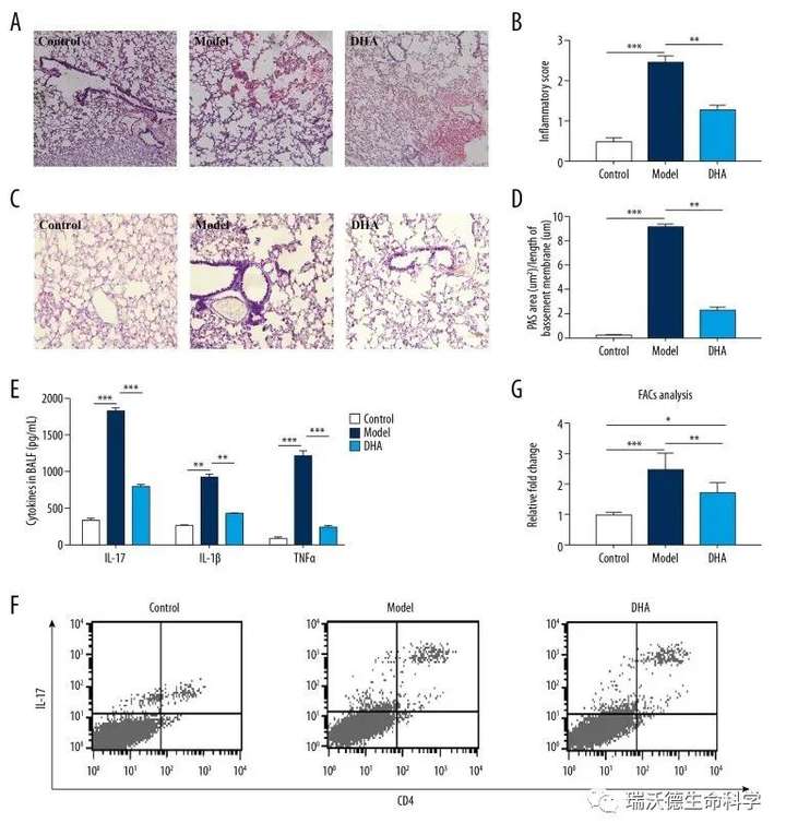 世界哮喘日丨双氢青蒿通过调节MiR-183C改善OVA诱导的小鼠哮喘