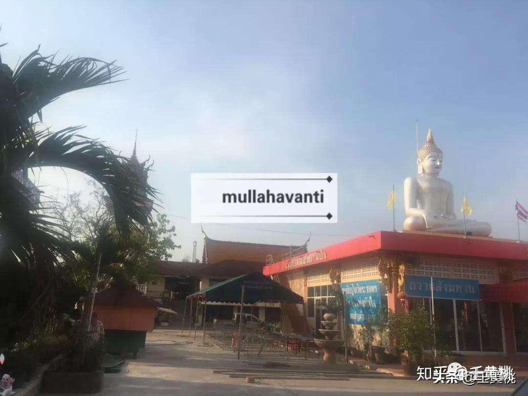 泰国奇人传 90岁的泰国北柳府财神高僧龙婆马哈维他亚 知乎