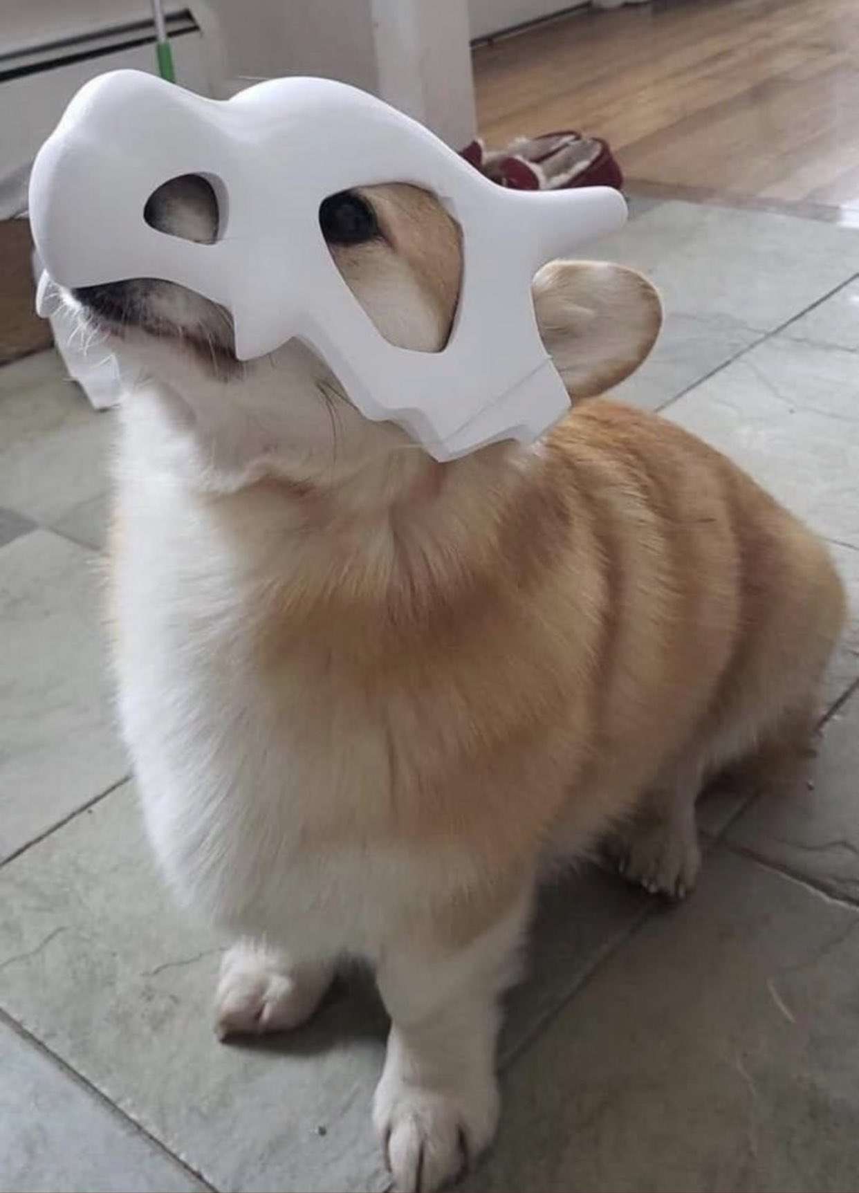 云吞花卷 的想法: 可拉可拉! - 知乎