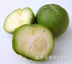 香肉果——墨西哥苹果（Zapote Blanco） - 墨华网 (图2)