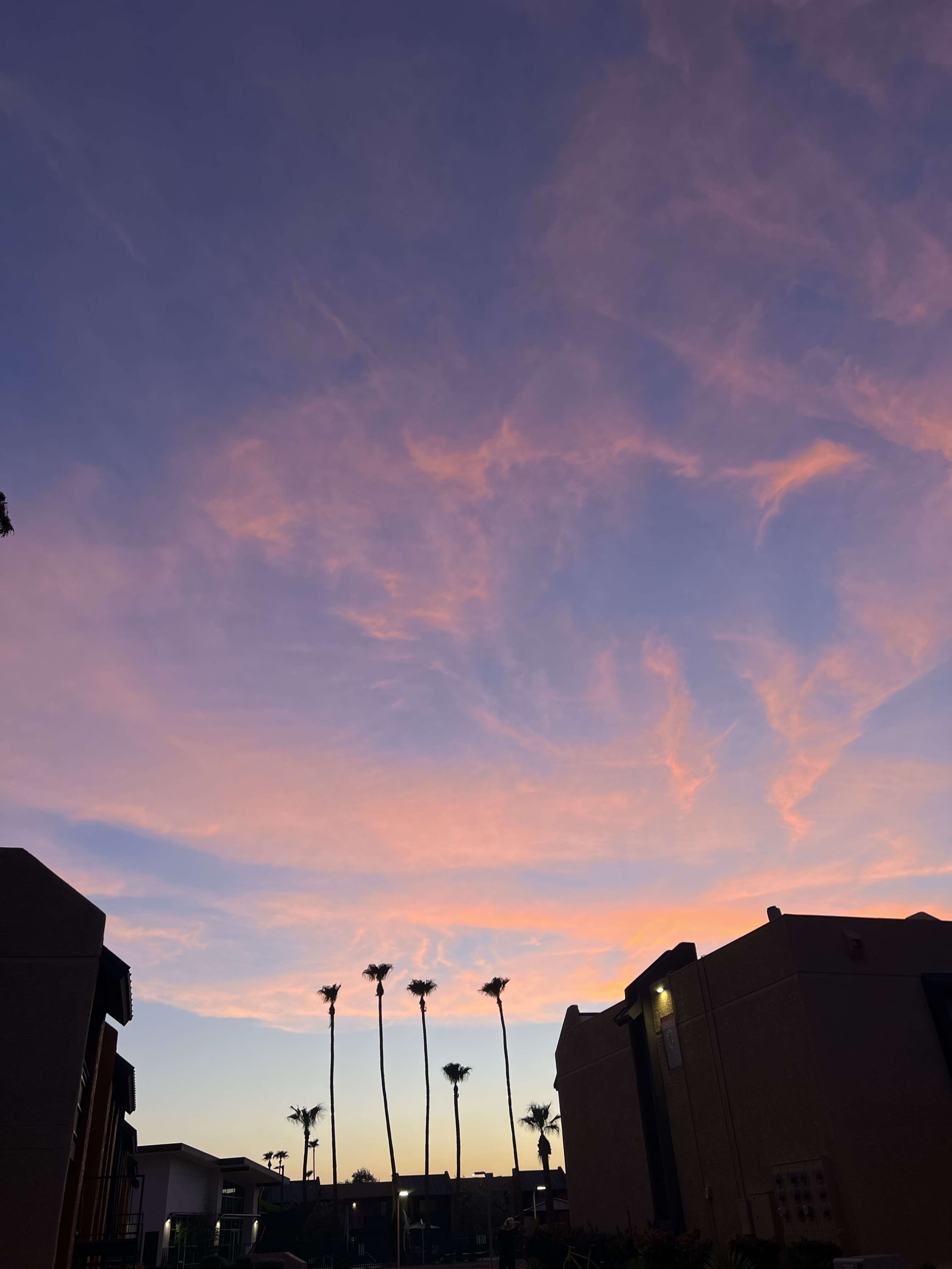 王介南 的想法: 今天的天空美得不真实 - 知乎