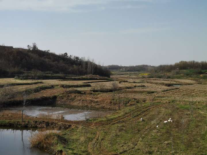 18亿亩耕地红线现在怎么样了 知乎 18亿亩耕地红线现在怎么样了 知乎
