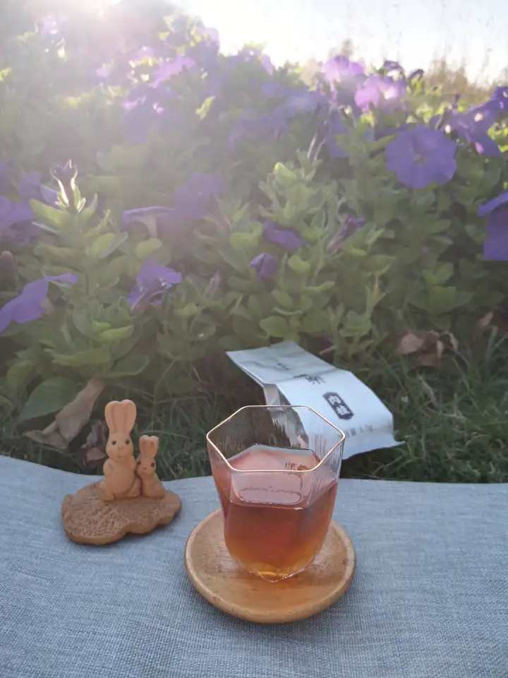 一篇读懂（喝茶规矩基本礼仪视频）喝茶基本礼仪教程视频大全，【茶文化 / 十大喝茶礼仪】，陈梓凌，