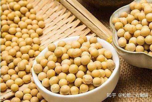 植知源豆磷脂肥 豆磷脂 为何能做肥料原材料 知乎