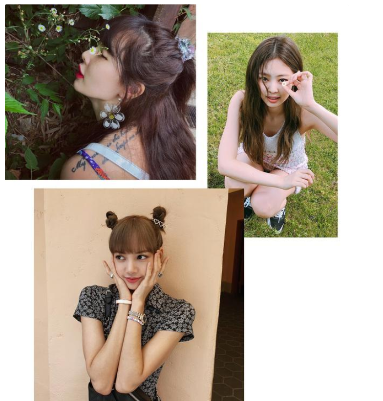 女生的小雛菊長(zhǎng)什么樣(不是花)（少女雛菊ins圖片）