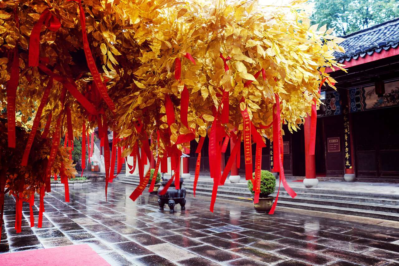 拂尘阁 阁主中国道教 净明宗坛 钟法泳道长