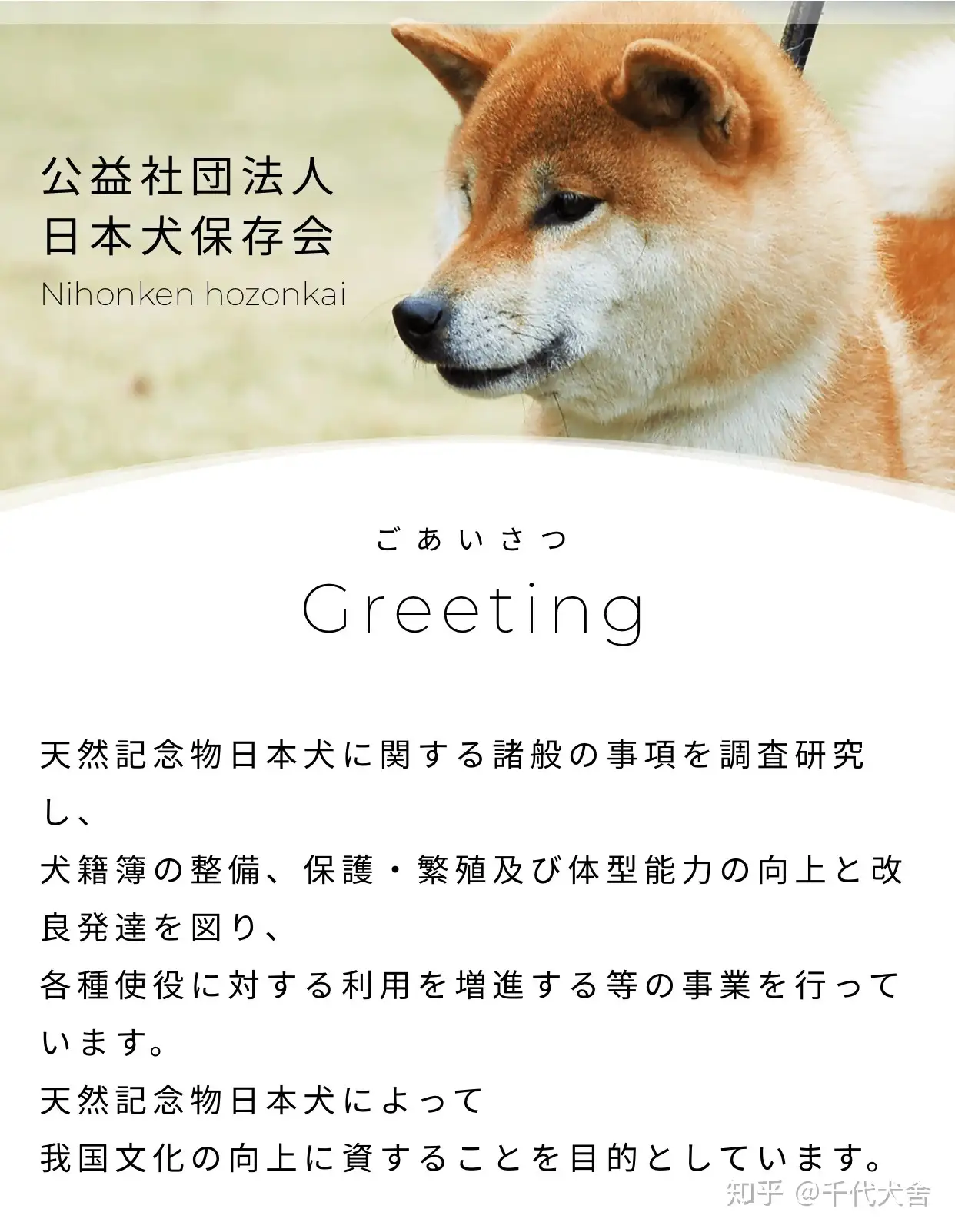 日本犬保存会（日保会） 知乎