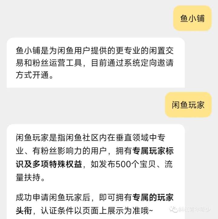 闲鱼玩家和鱼小铺哪个好？闲鱼玩家有必要开通吗