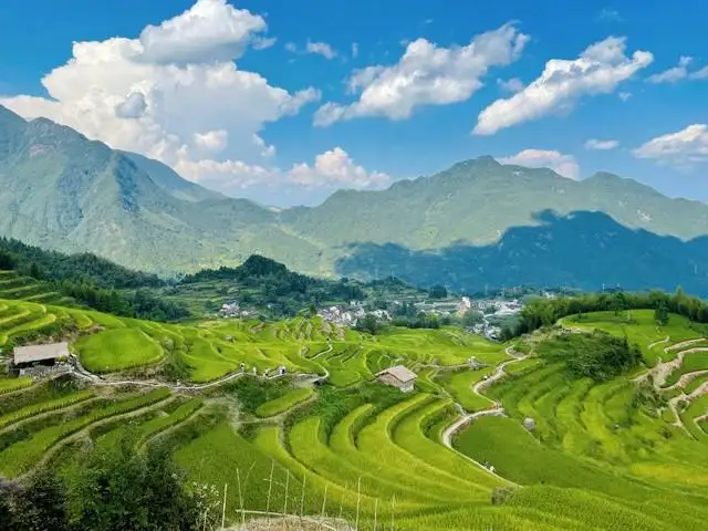 丽水旅游景点哪里好玩（浙江丽水旅游攻略必去景点）