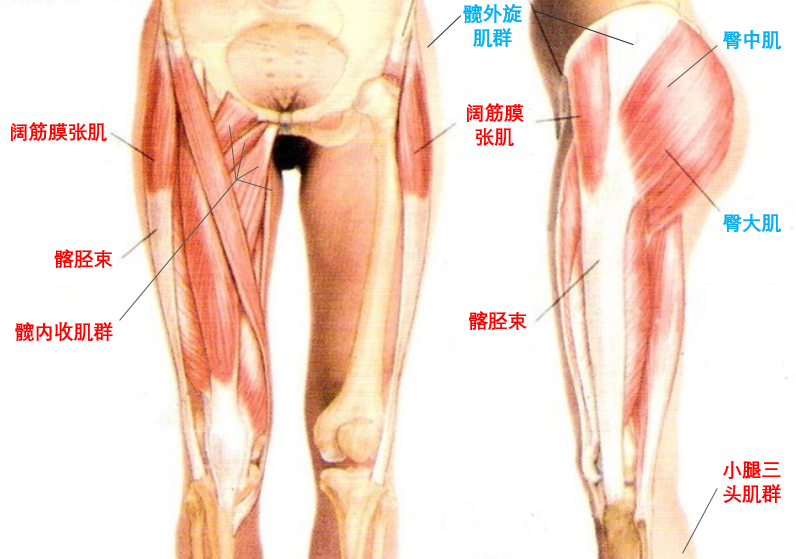 如何改善膝盖内扣 知乎