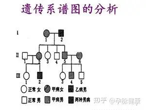 備孕前,為何要做遺傳學諮詢?