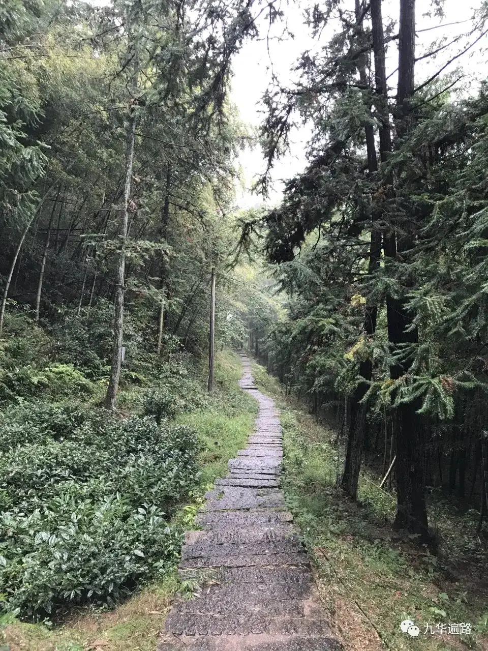 九华山99座寺院之29：华严古洞- 知乎