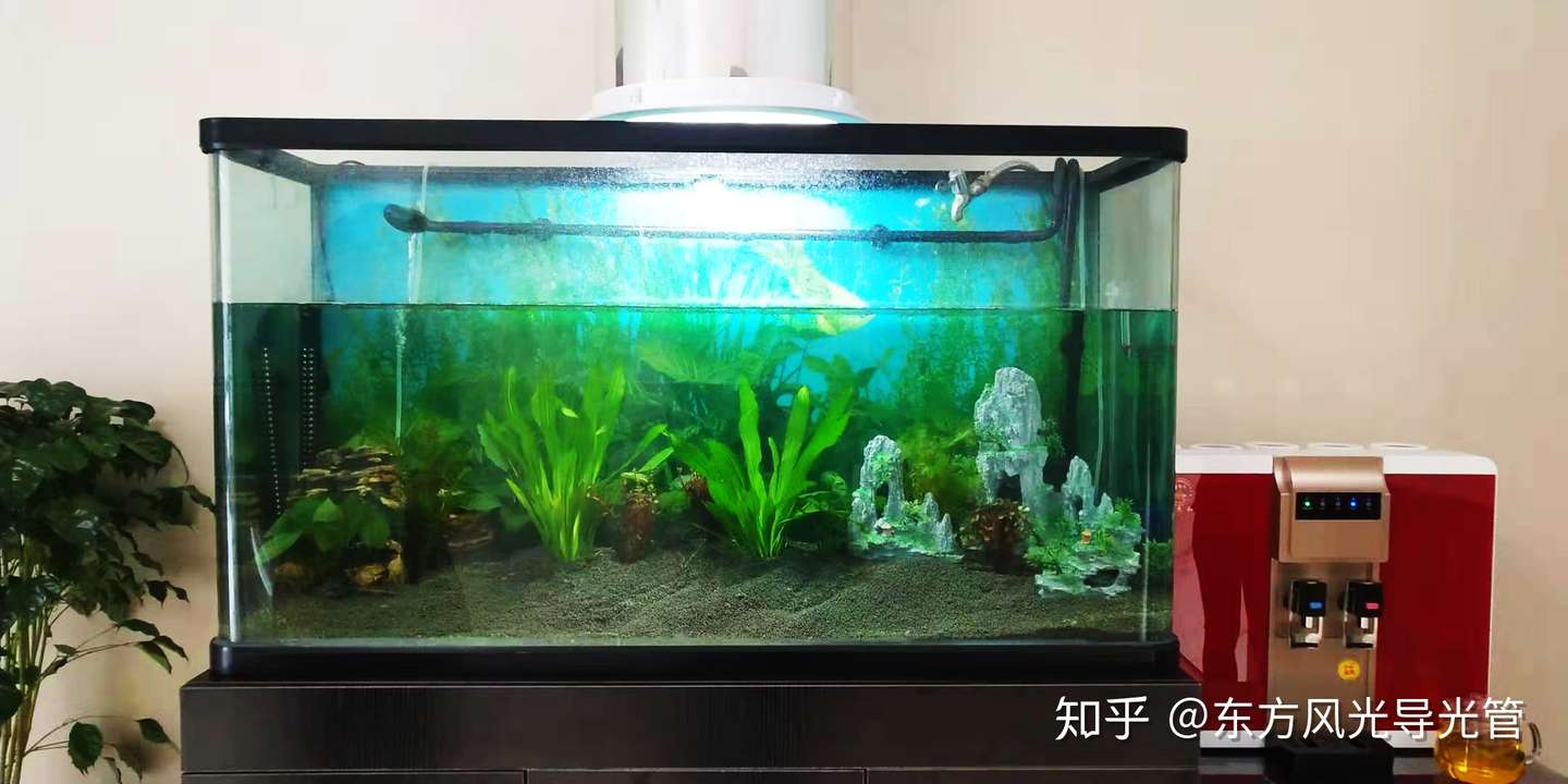 240个小时建立一个生态系统 请查收 这是新能源照明给你的惊喜 知乎