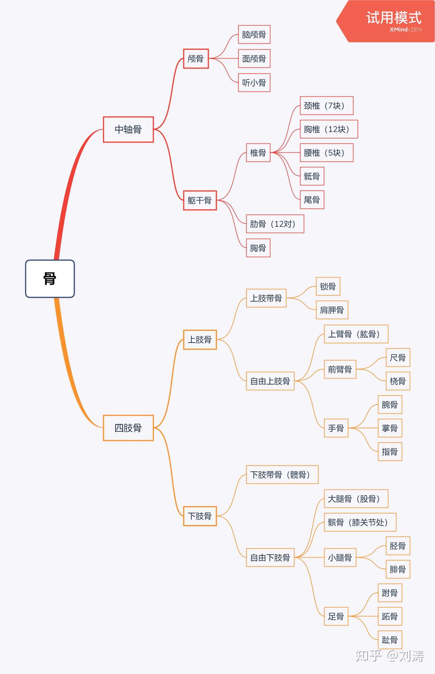 骨骼系统 一 骨1 骨的分类及名称 知乎