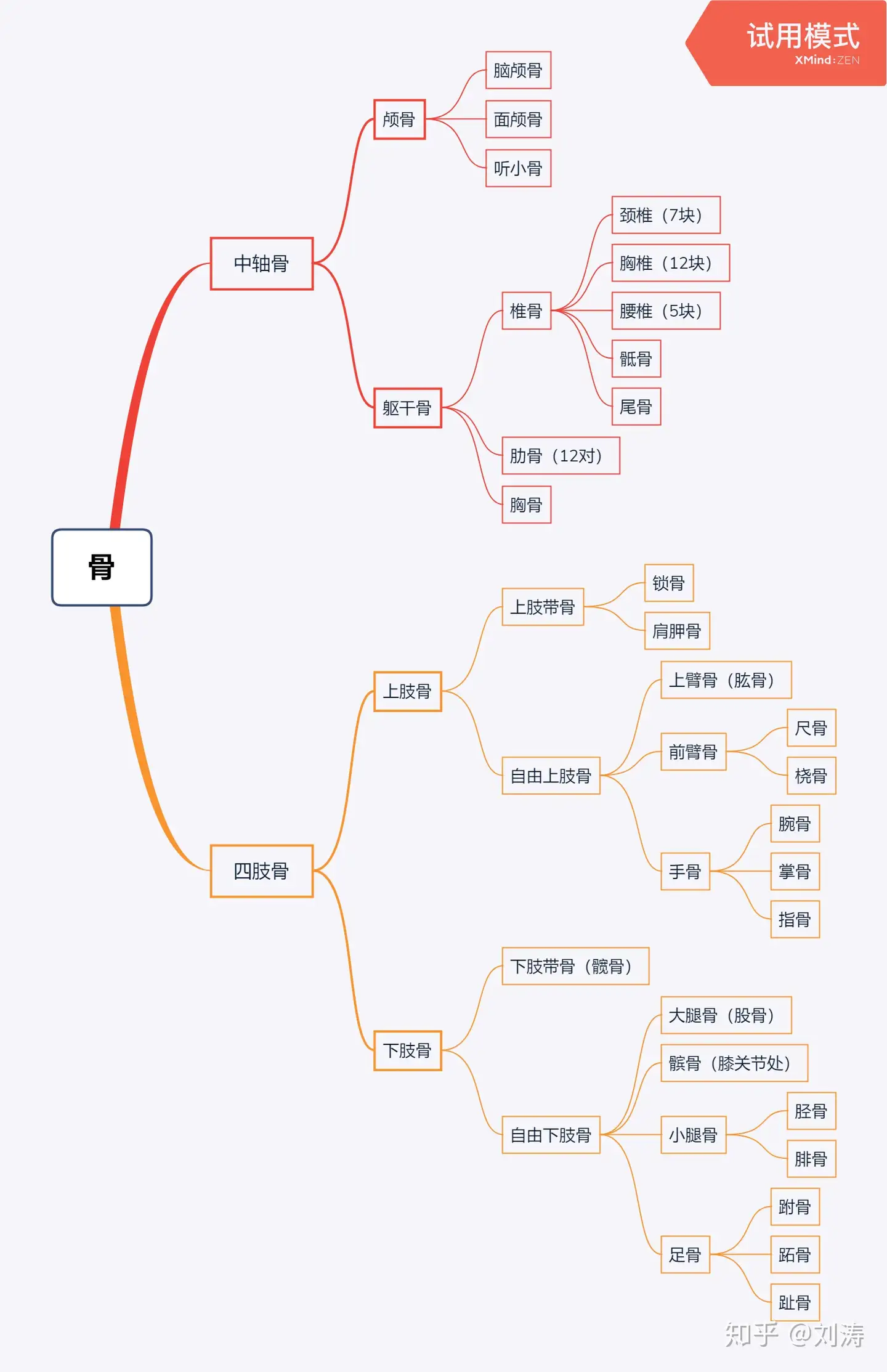 骨骼系统 一 骨1 骨的分类及名称 知乎