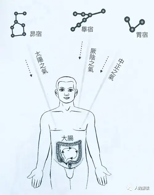 人体的四大能量系统，所有的功法都基于此-人的解读