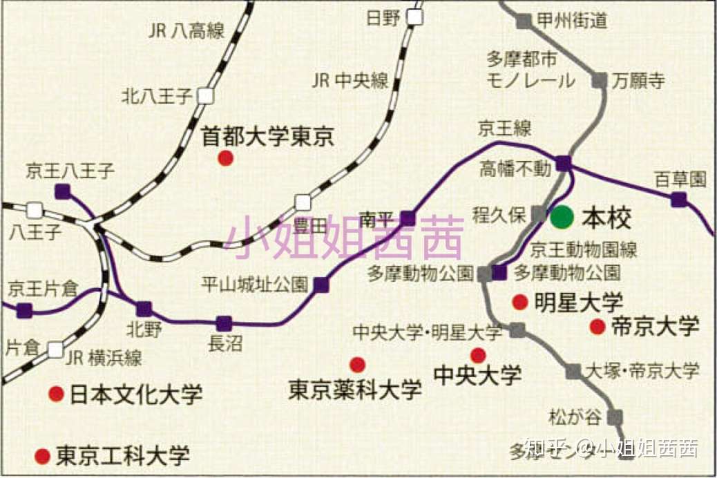 小姐姐茜茜点评 东京国际日本语学校怎么样 知乎