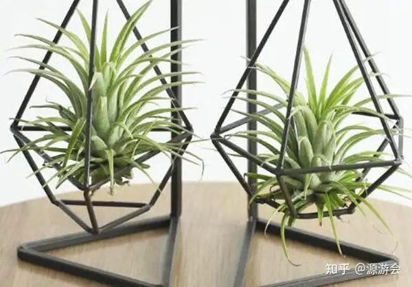 源游会 职场禁忌 最忌讳的一件事居然是它 知乎