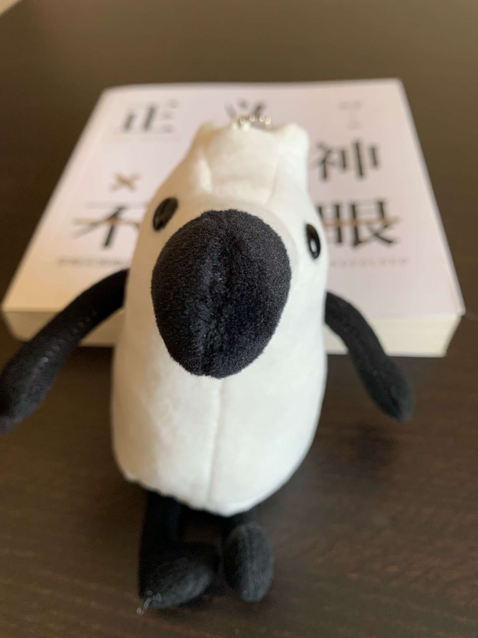 张律师 的想法: 知乎法律发送的刘看山公仔已经收到 - 知乎