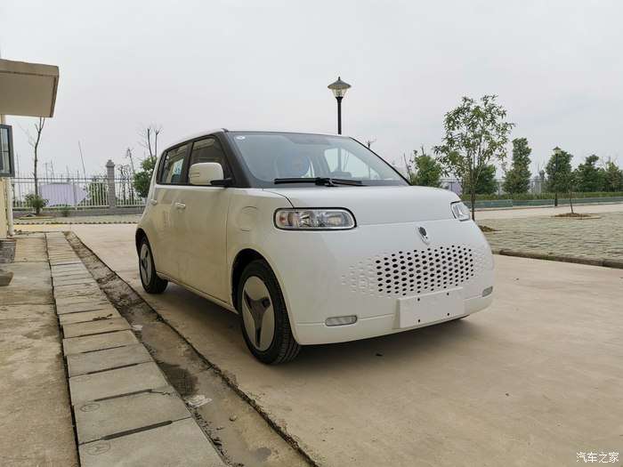 我滴欧拉白猫要化妆记录给欧拉白猫打扮篇