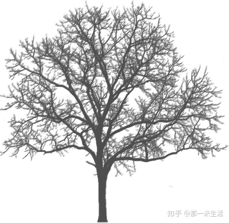 不文艺无生活 陈奕迅唱哭的孤独患者 下雨天这样度过 知乎 不文艺无生活 陈奕迅唱哭的孤独患者 下雨天这样度过 知乎