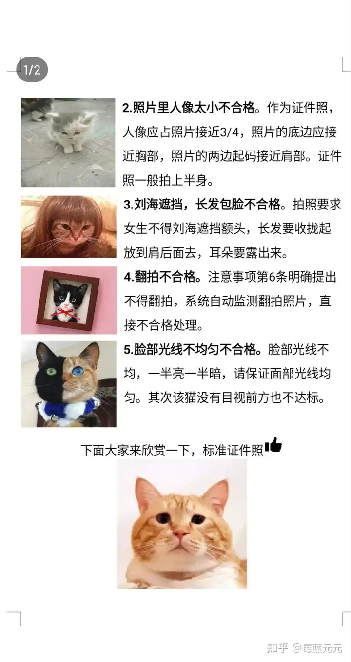 图片[38]-有哪些让人笑到肚子疼的搞笑图片？