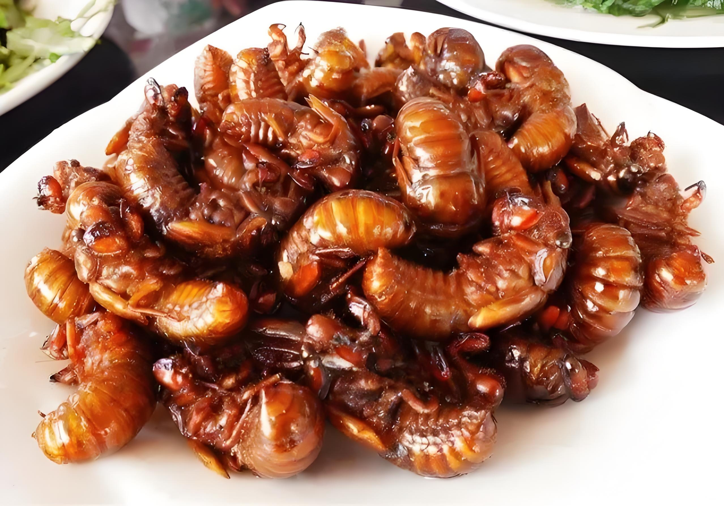 河南一男子自称摸「知了猴」卖给饭店，一晚最高收入近万元，有可能吗？大规模捉捕会对生态有影响吗？缩略图