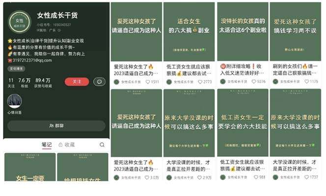 图片[3]-小红书创业女粉引流教程【适合各行业】从养号到制作到引流一条龙学会-暗冰资源网