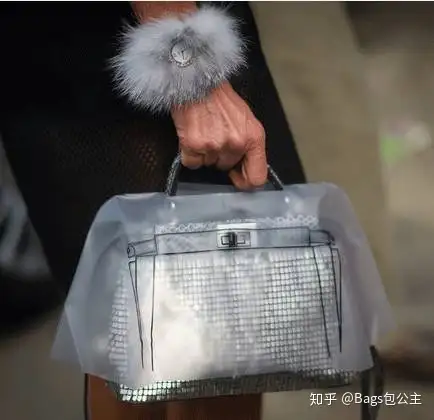 Fendi peekaboo store rain cover