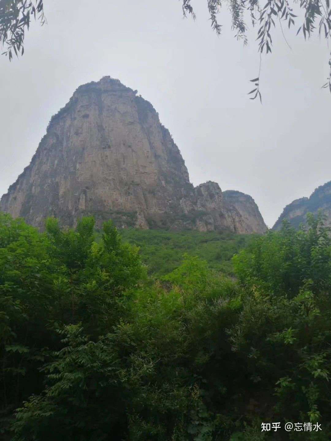 忘情森舞山 知乎