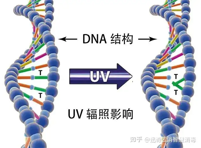 超全紫外線消毒燈選購指南！權(quán)威解讀來了插圖1