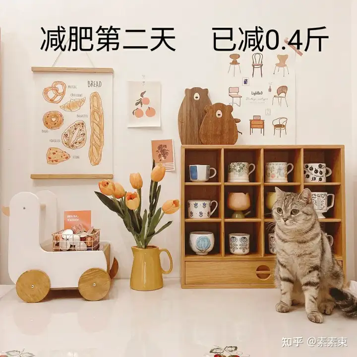 挑战100天瘦30斤第2天 - 知乎