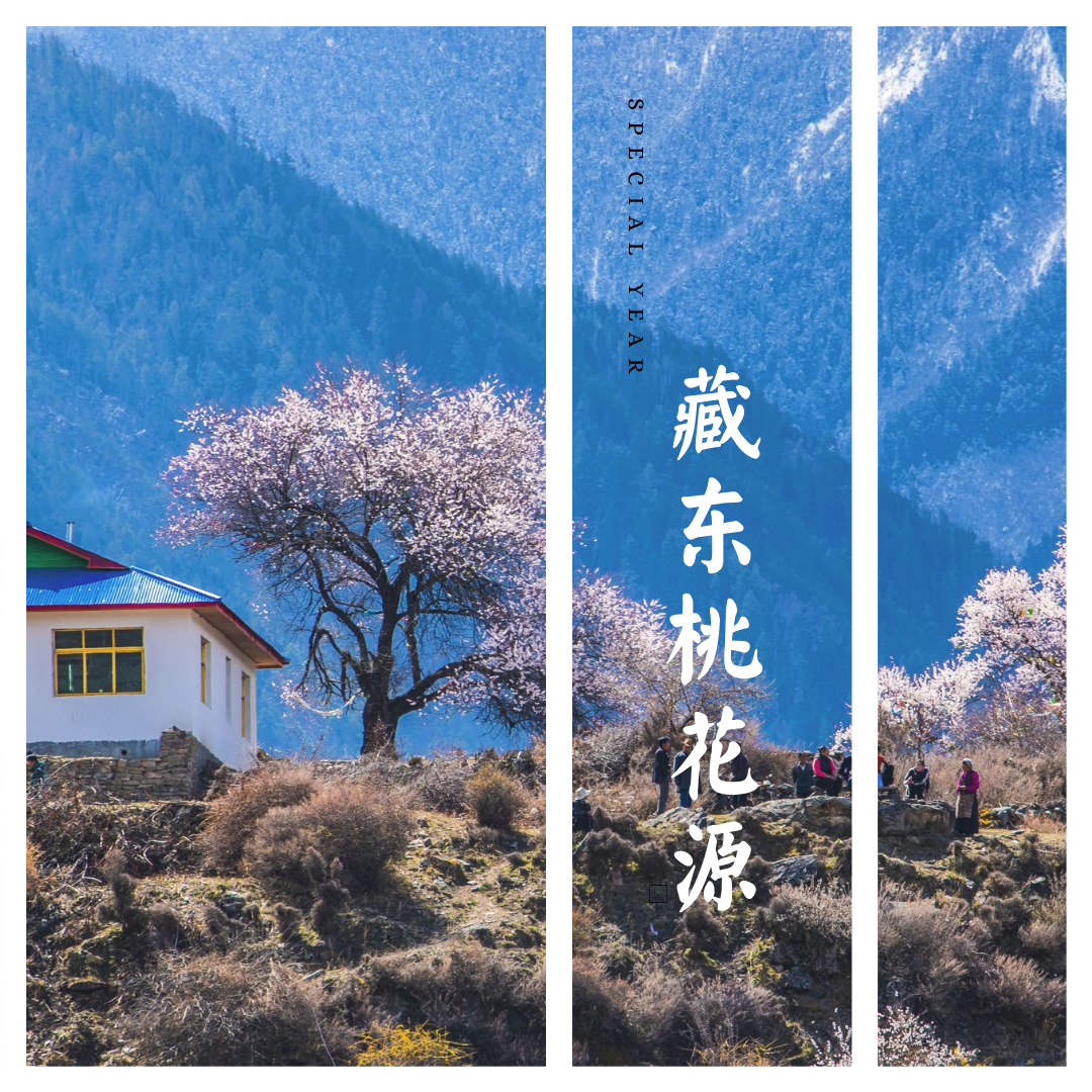 春季线3月 踏雪寻花 藏东桃花源 小众林芝 波密秘径 走入墨脱 知乎