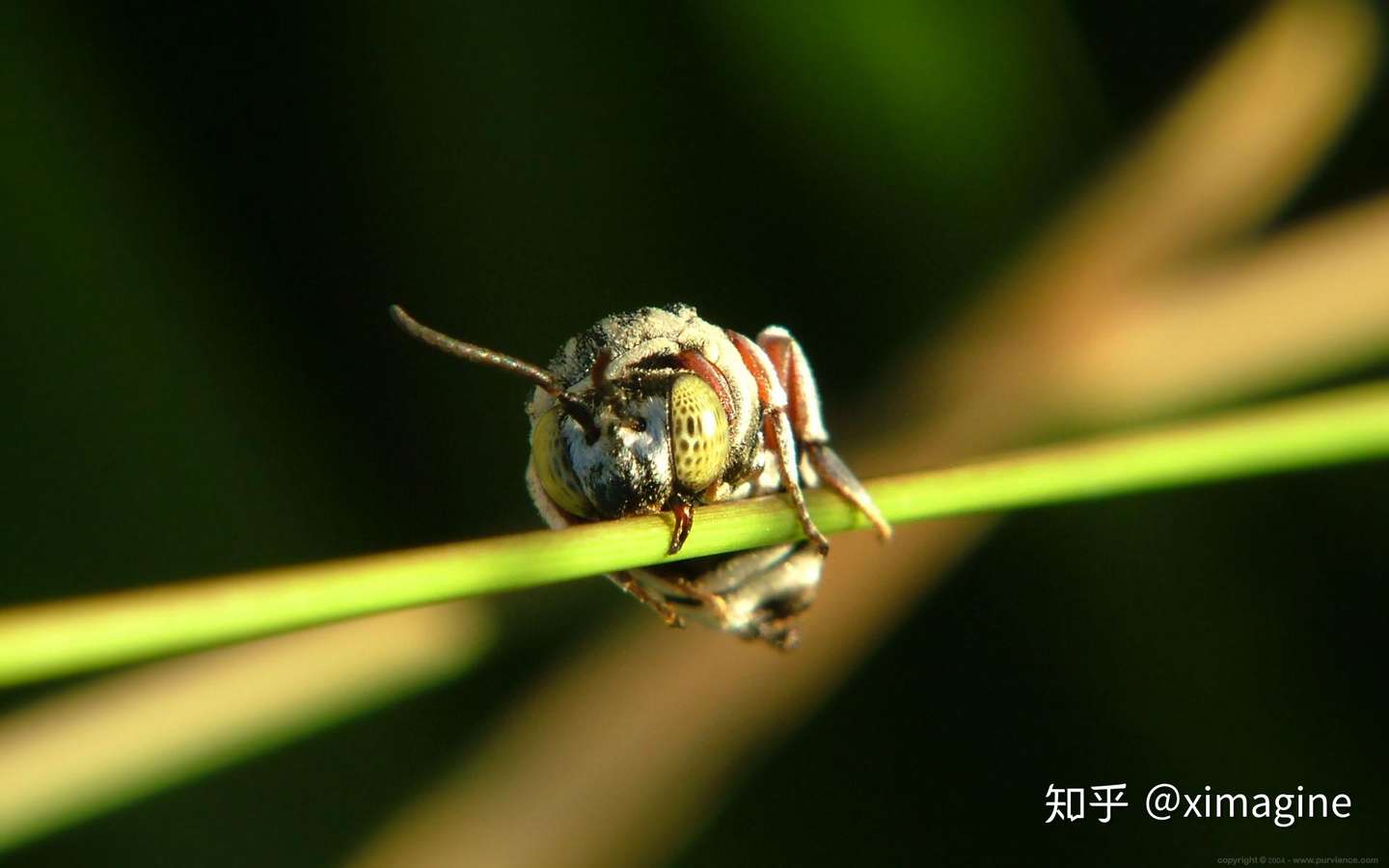 高清电脑壁纸源自大自然馈赠美丽景色 知乎