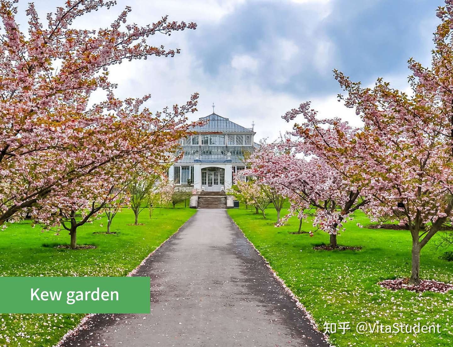 Vita Tips 英国也能看樱花 春季伦敦各地樱花季最全攻略 知乎