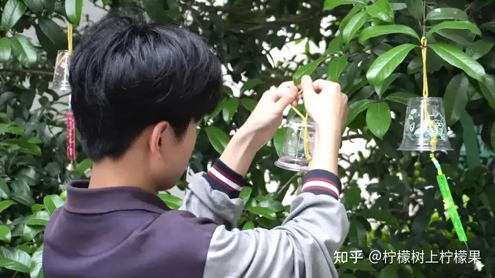 【活力校园】手绘风铃添彩 心融美育校园 | 塘栖校区组织开展手绘风铃活动(图8)