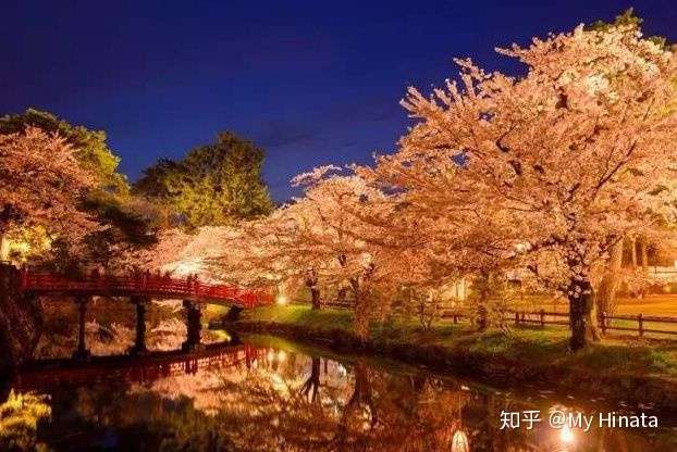 最美的季节遇见你 日本樱花祭全攻略 知乎